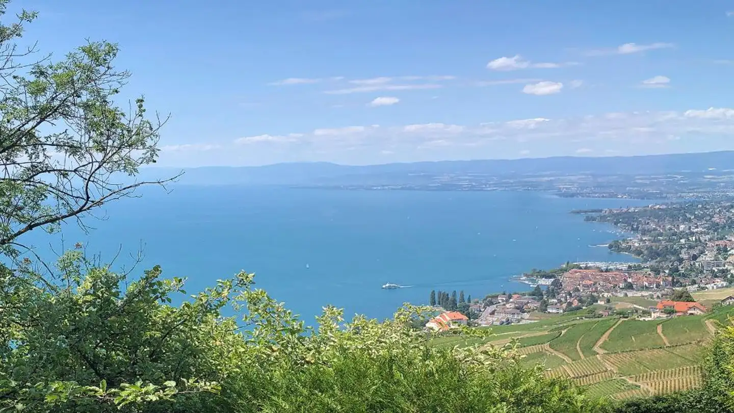 Appartamento in affitto - Route Du Signal 16, 1091 Grandvaux