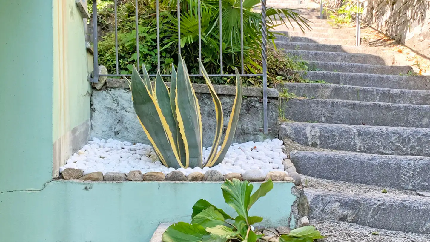 Appartamento in affitto - Via Del Sole, 6600 Muralto