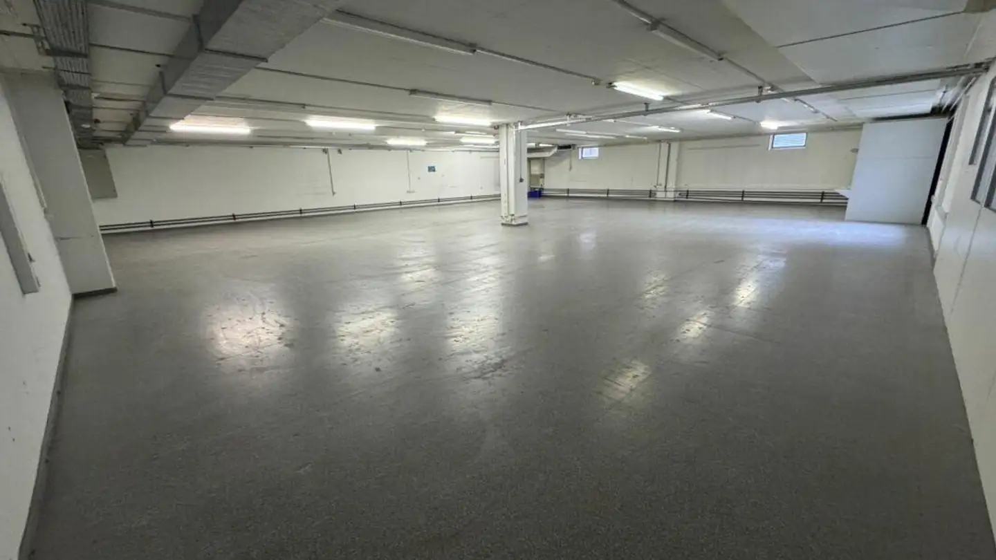 Laboratorio in affitto - Pfeffingerring 201, 4147 Aesch BL - Photo 3