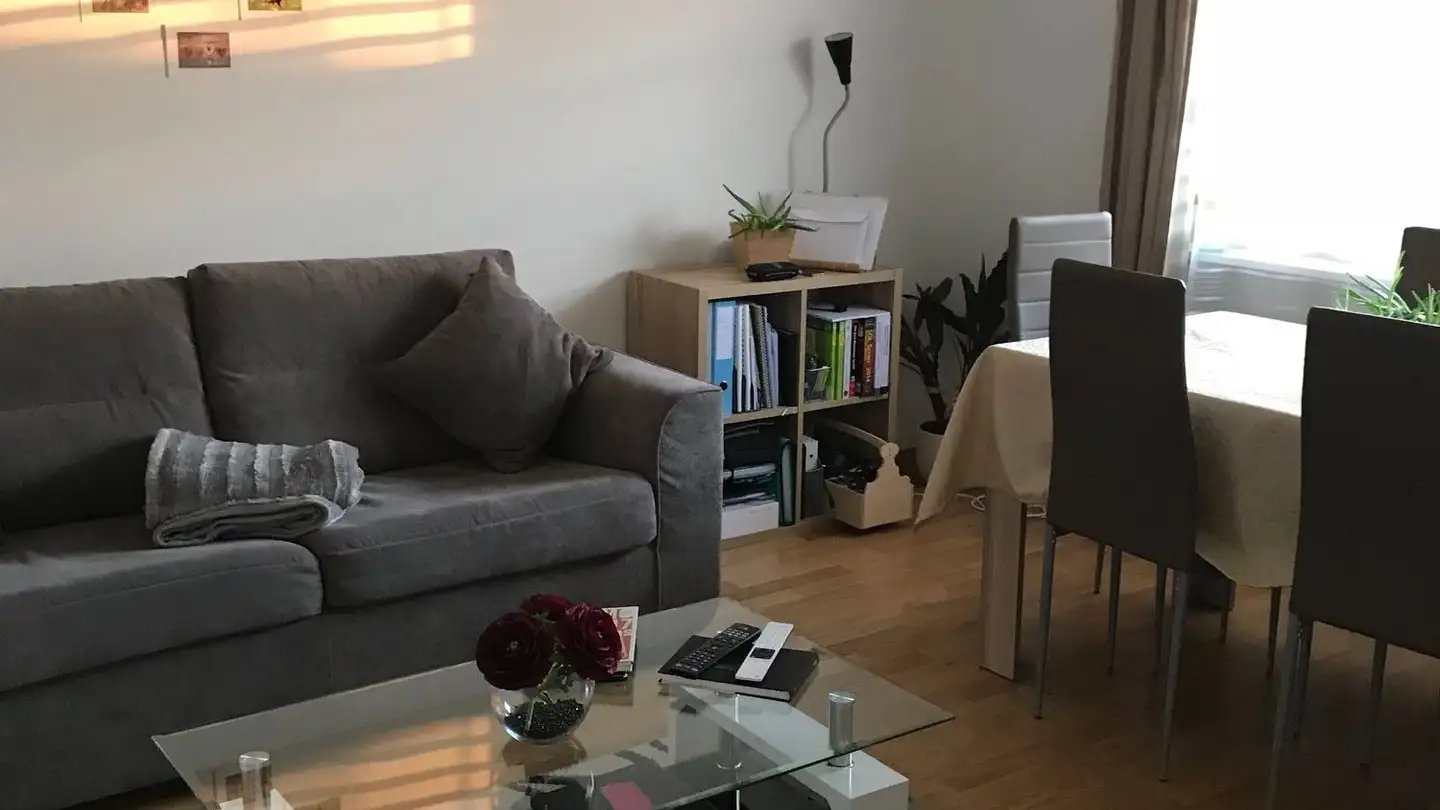 Appartement à louer - Avenue Samson Reymondin 26, 1009 Pully