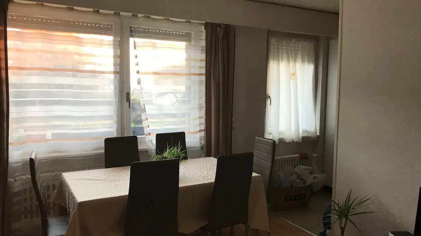 Appartamento in affitto - Avenue Samson Reymondin 26, 1009 Pully - Photo 2