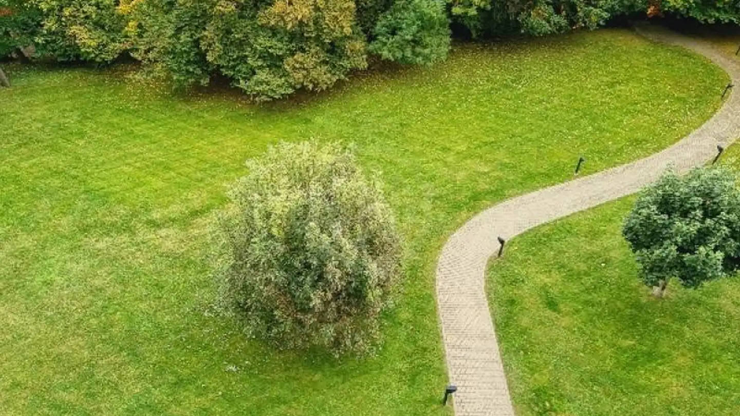 Wohnung mieten - Rue De Moillebeau 50, 1209 Genève - Foto 2