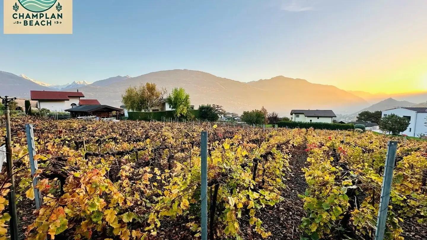 Bauland kaufen - Chemin Du Scex 13, 1971 Champlan (Grimisuat) - Foto 4