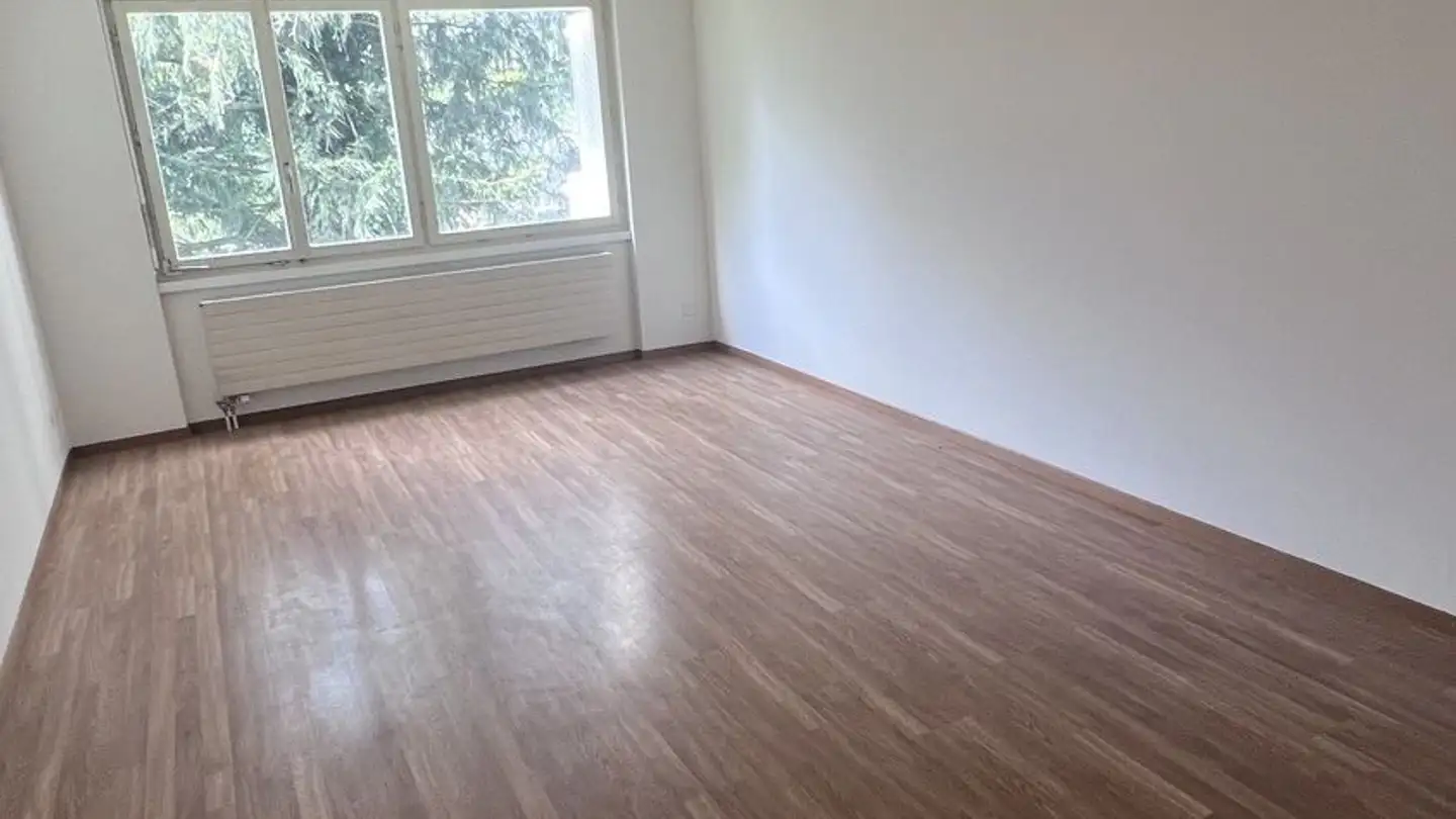Appartamento in affitto - Reuttistrasse 15, 9500 Wil SG