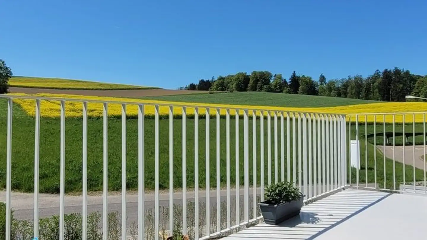 Chambre à louer - Murzlenstrasse 68, 8166 Niederweningen - Photo 2