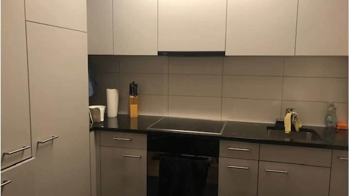 Appartement à louer - Steinmürlistrasse 4, 8953 Dietikon - Photo 2