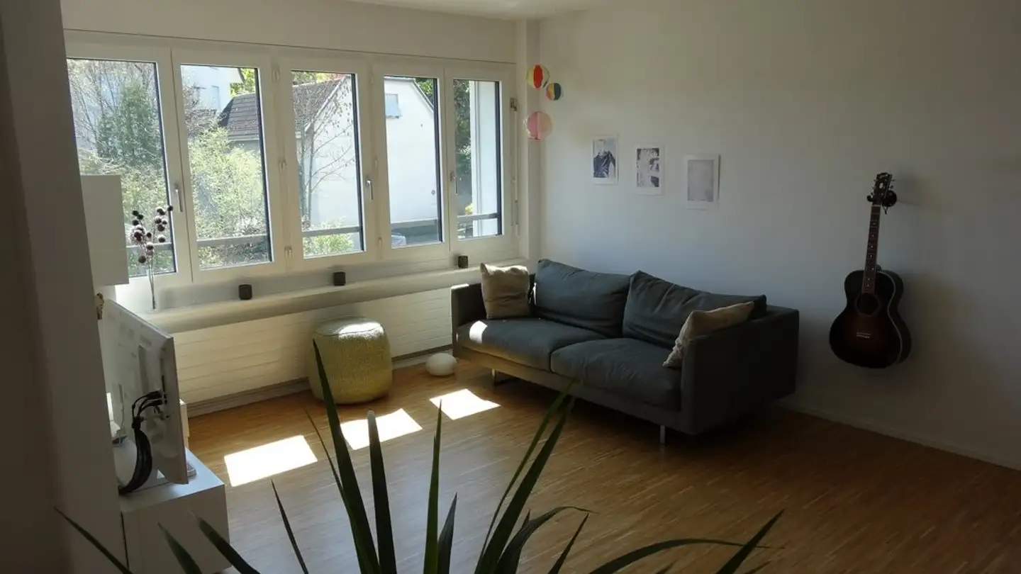 Appartamento in affitto - Frauentalweg 6, 8045 Zürich - Foto 4