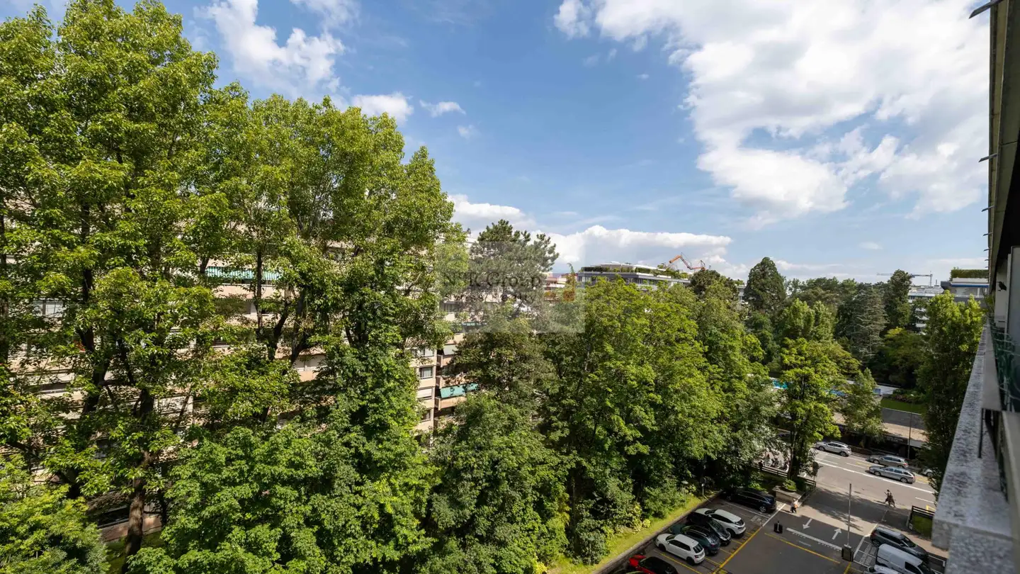 Apartment for sale - Avenue Eugène- Pittard, 1206 Genève