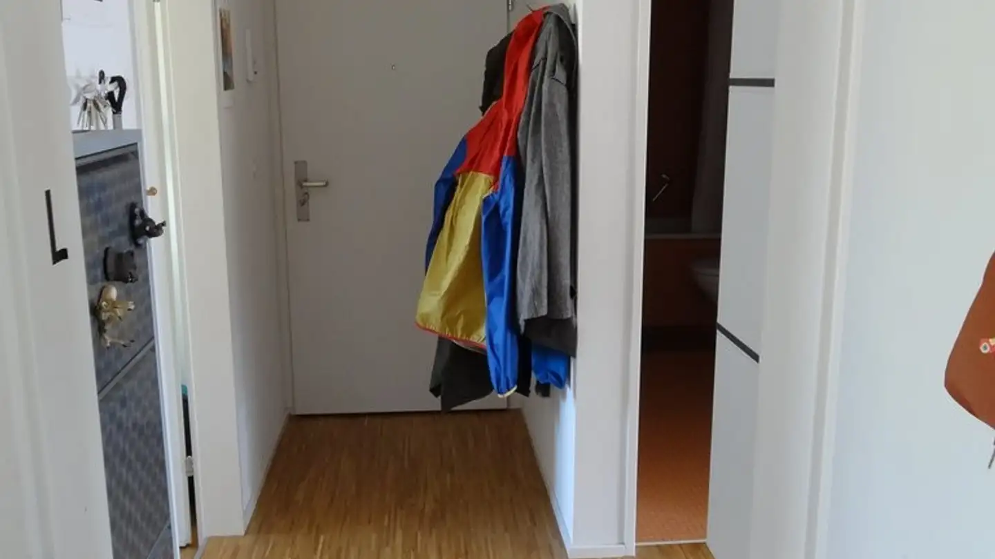 Appartamento in affitto - Frauentalweg 6, 8045 Zürich - Foto 2