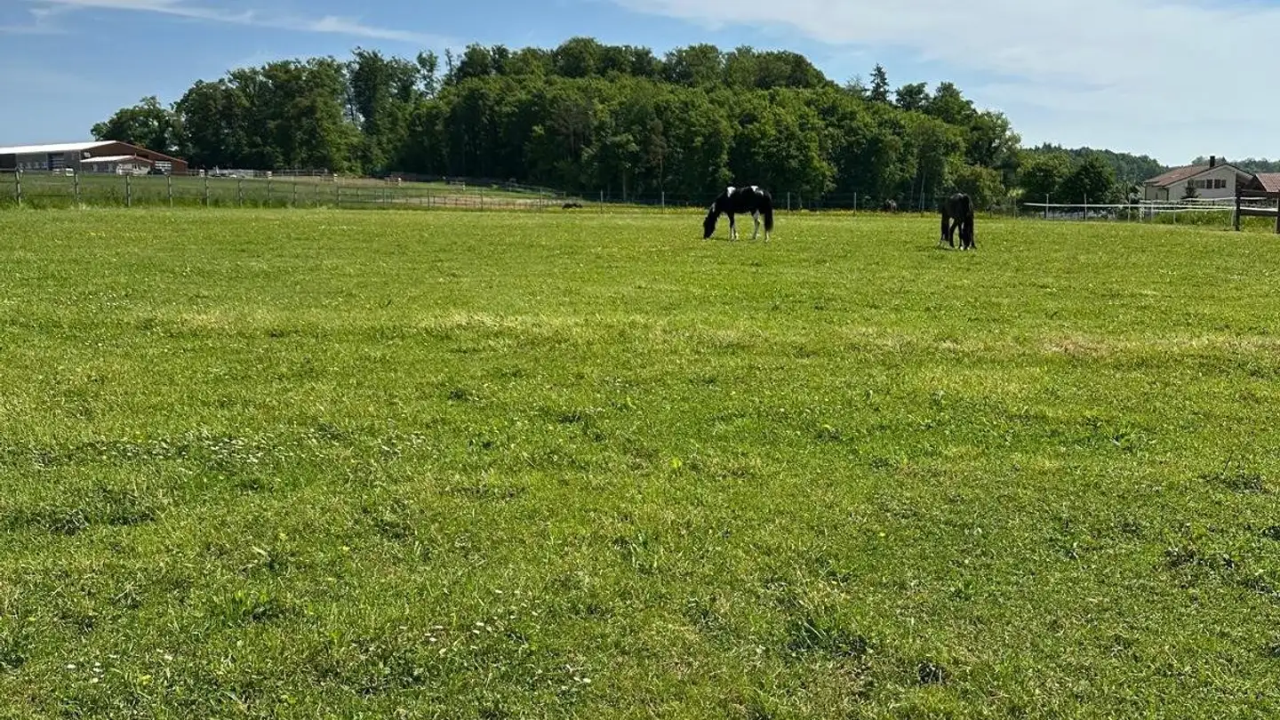 Single house for sale - Rue De St-Fromond, 2944 Bonfol - Photo 4