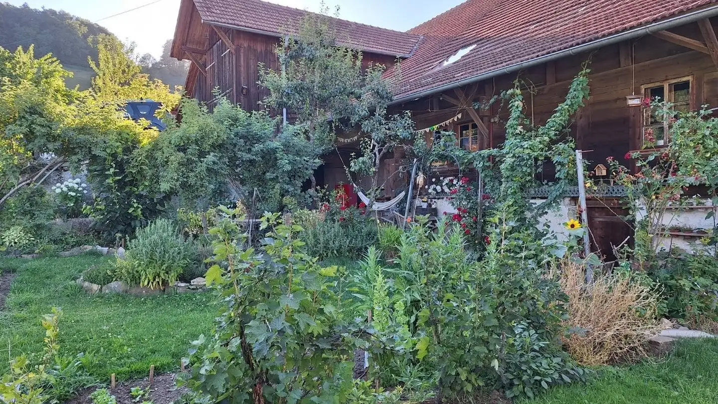 Stanza singola in affitto - 3665 Wattenwil - Foto 2