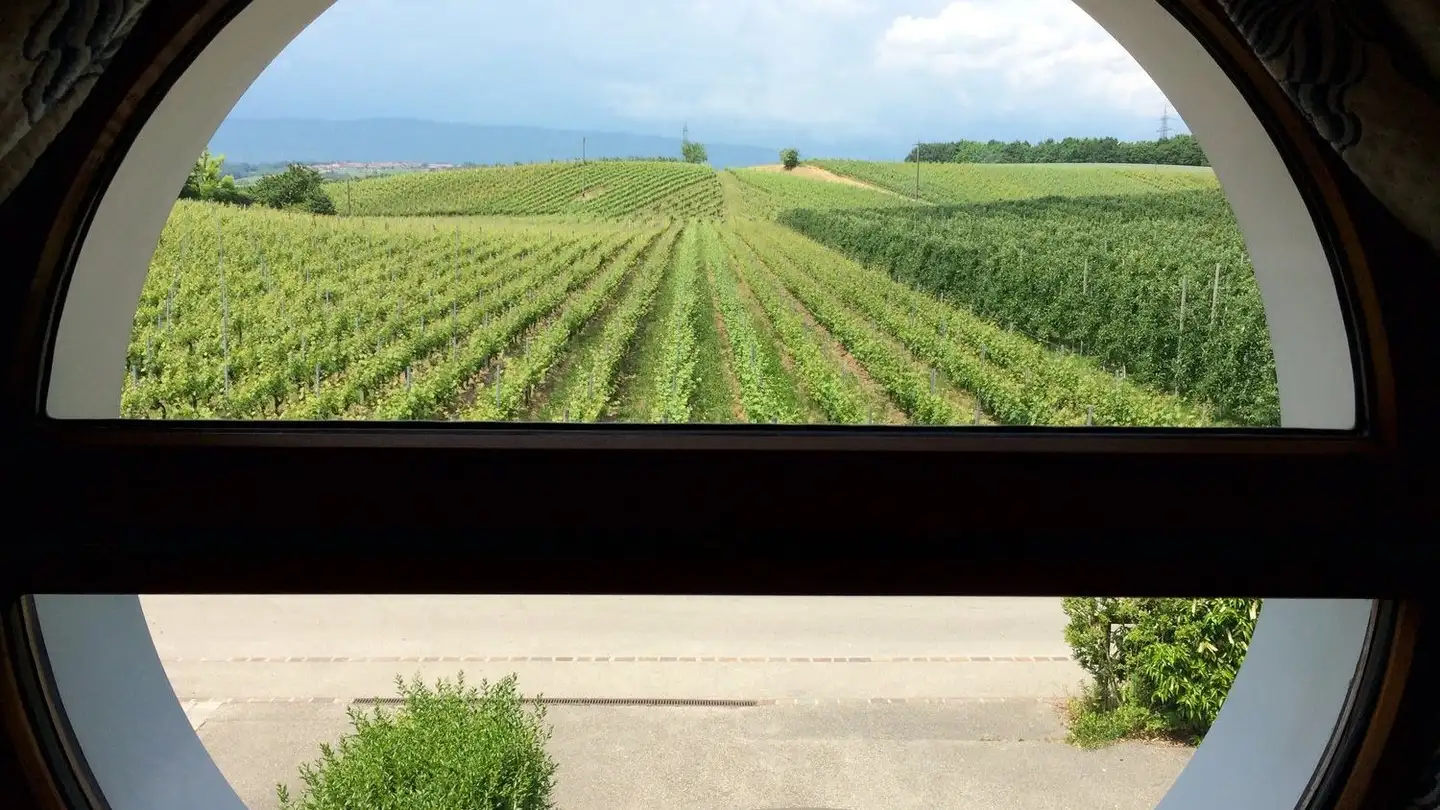 Row house for rent - 1163 Etoy