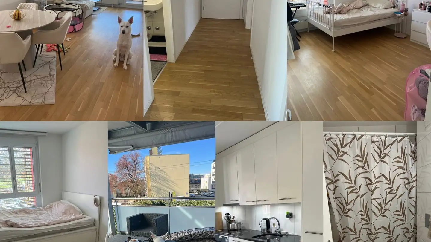 Apartment for rent - Lätternweg 24, 3052 Zollikofen