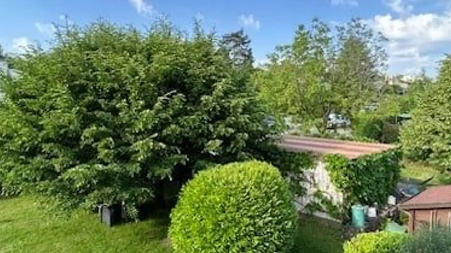 Appartement à louer - Oberriedenstrasse 10, 5412 Gebenstorf - Photo 3