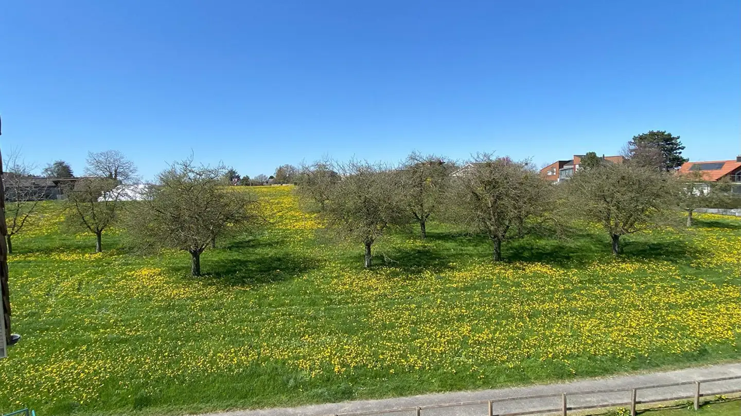 Attico in vendita - Reggenschwilerstrasse 6a, 9402 Mörschwil - Photo 2