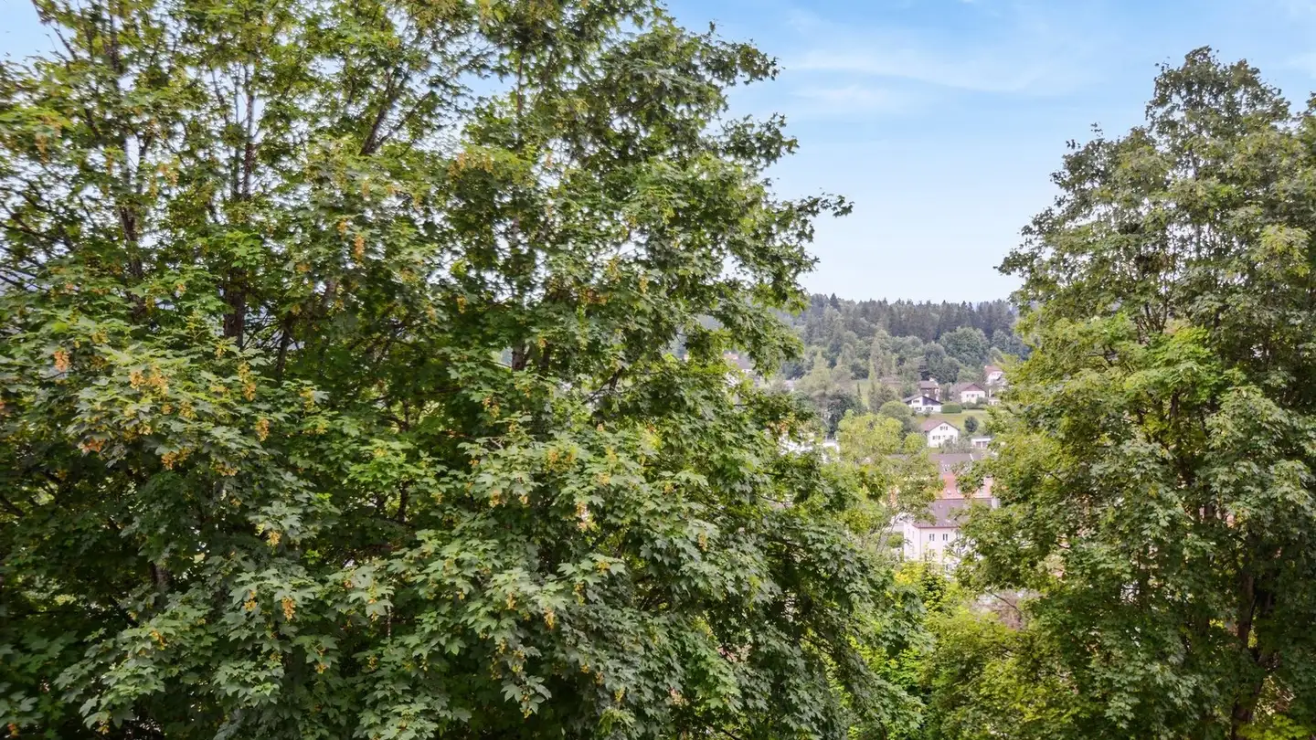 Appartamento in affitto - Rue Georges-Perrenoud 36, 2400 Le Locle - Foto 3