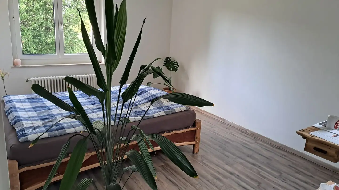Single room for rent - Illnauerstrasse 23, 8307 Effretikon