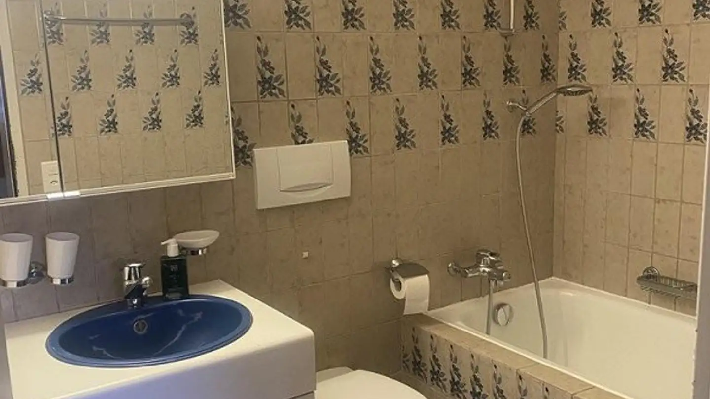 Wohnung mieten - Wiesliacher 85, 8053 Zürich - Foto 3