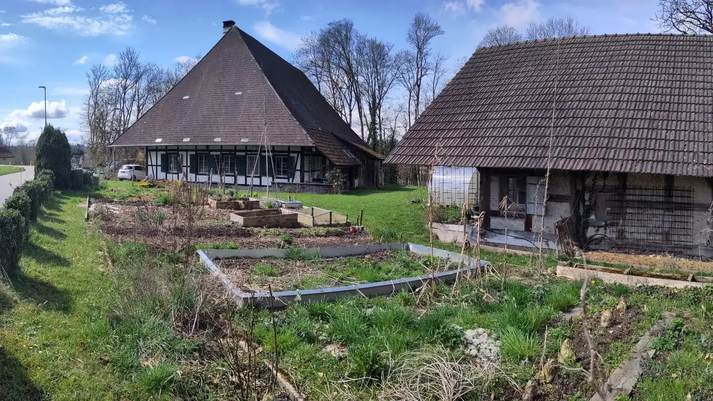 Bauernhof kaufen - Burach 24, 3376 Graben - Foto 3