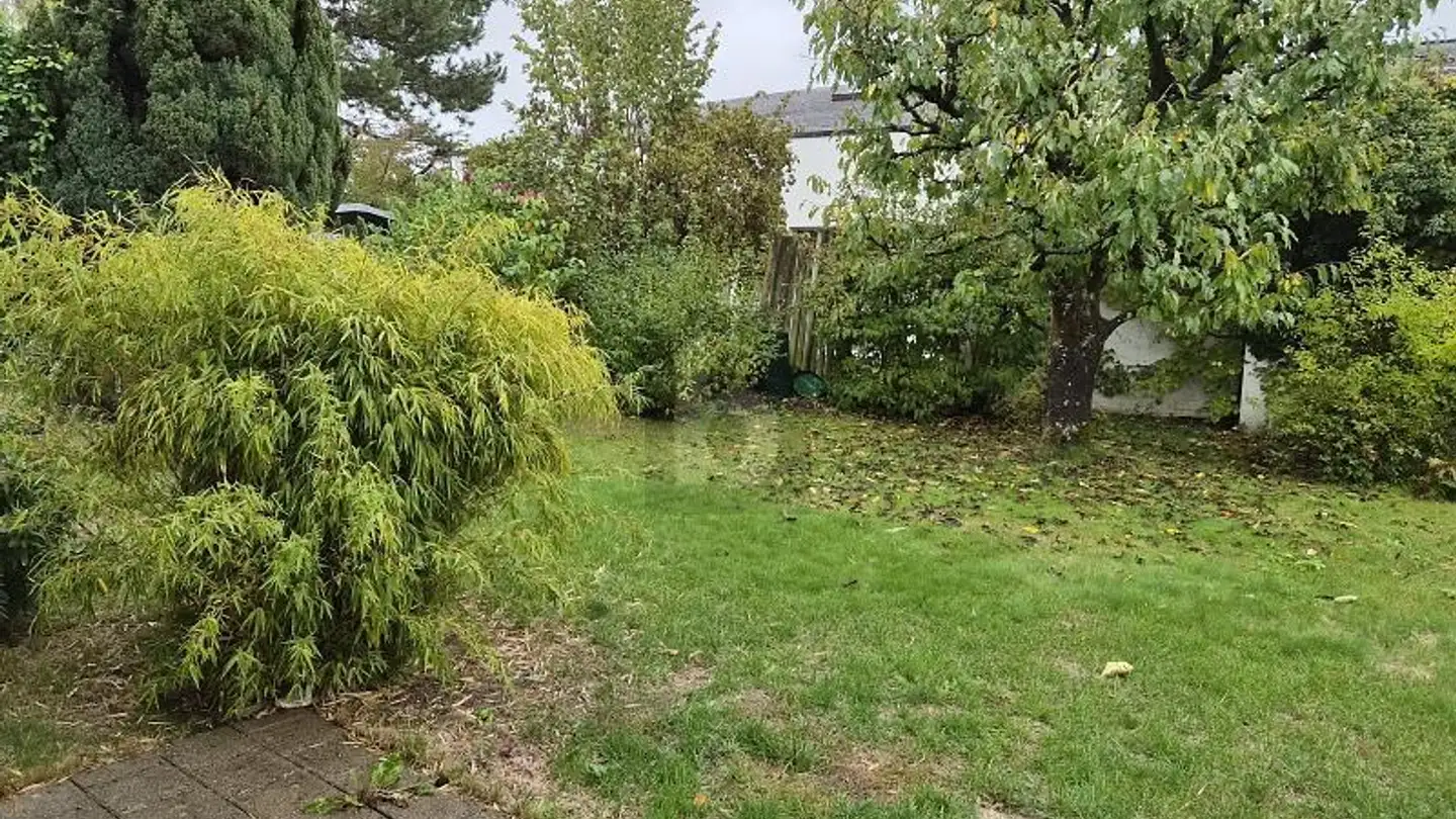 Duplex à louer - 8197 Rafz - Photo 2