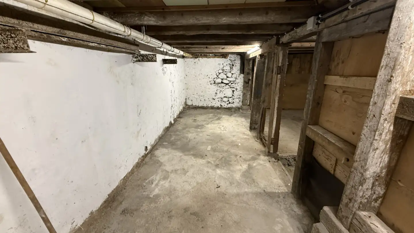 Magasin à louer - Route De Saint-Julien 21, 1227 Carouge GE