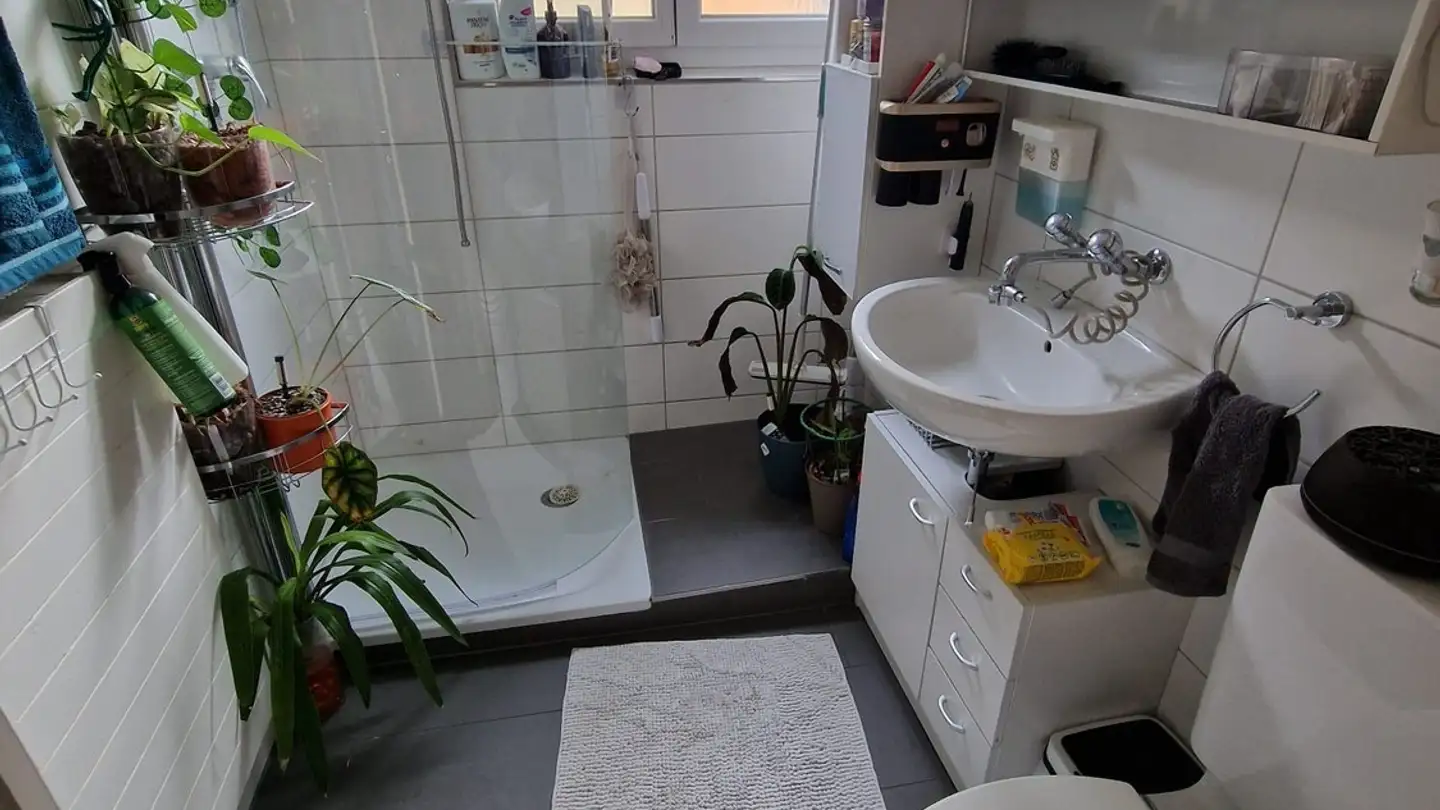 Wohnung mieten - Steilstrasse, 5432 Neuenhof