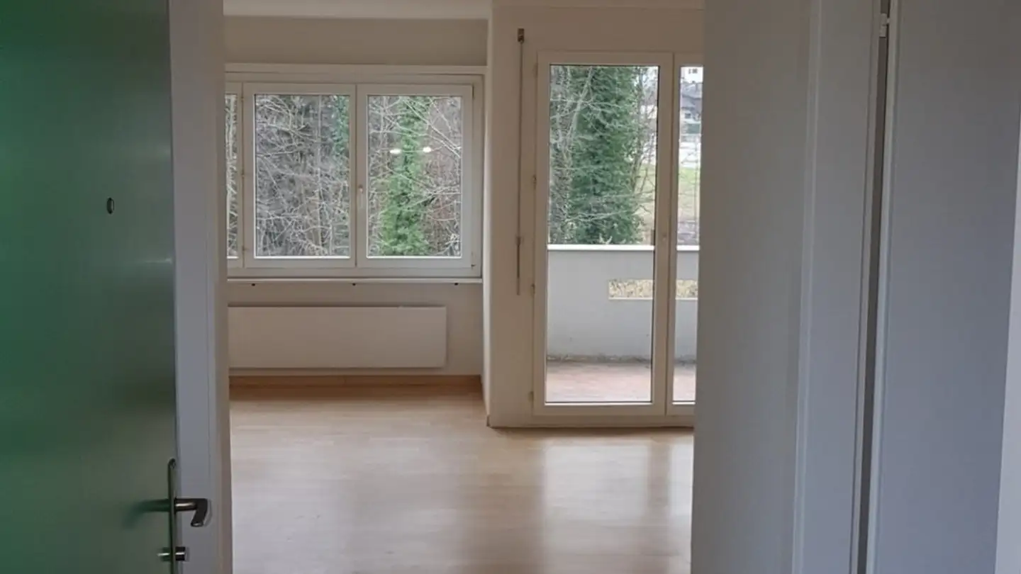 Appartamento in affitto - 8134 Adliswil