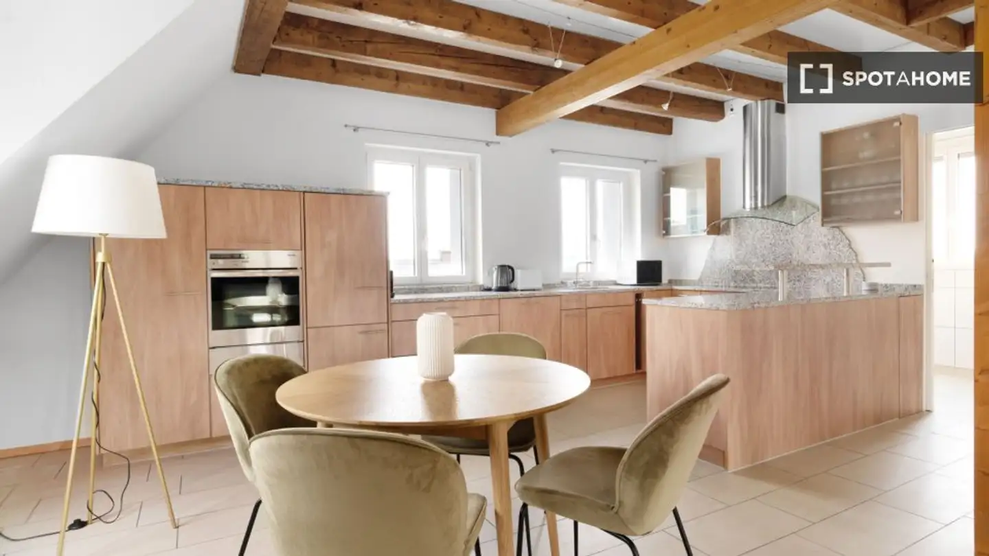 Appartement à louer - 8050 Zürich - Photo 3