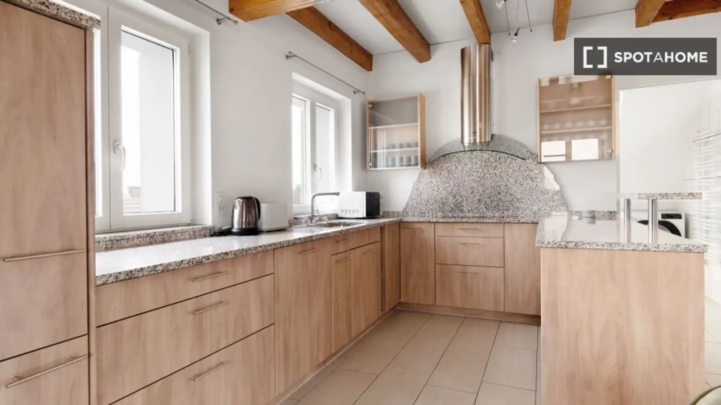 Appartement à louer - 8050 Zürich - Photo 4