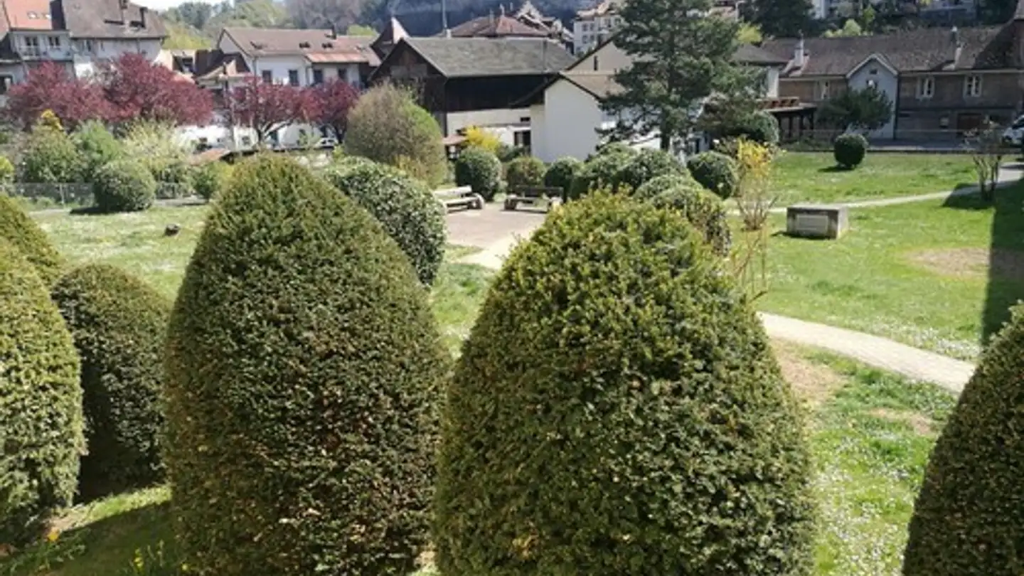 Appartement à louer - Rue De La Neuveville 20, 1700 Fribourg