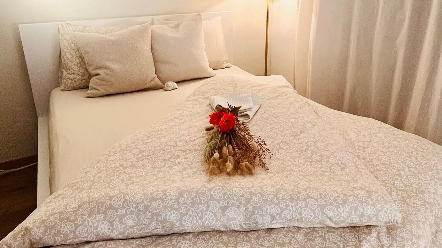 Appartamento ammobiliato in affitto - 6333 Hünenberg See