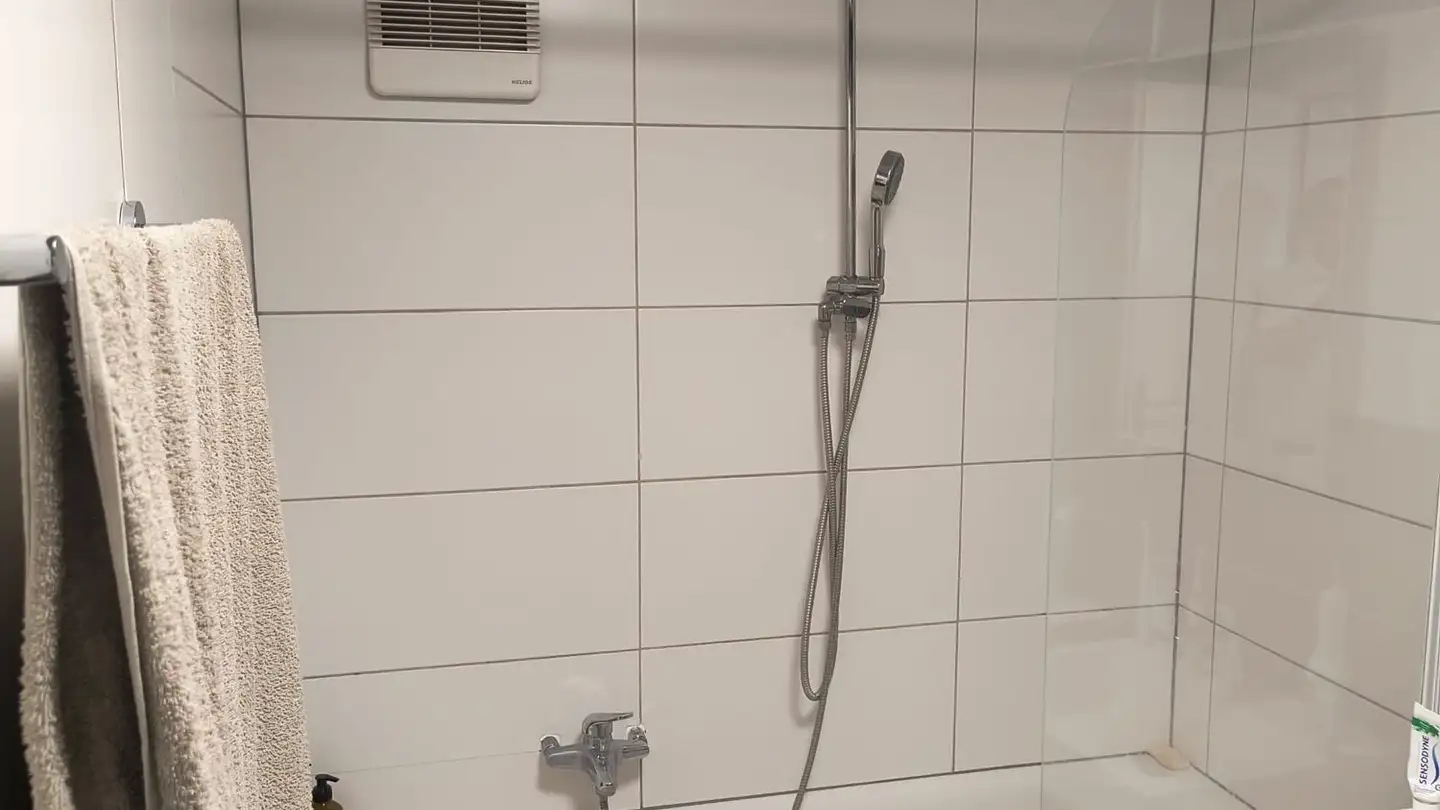 Appartement à louer - Wollerauerstrasse 46, 8834 Schindellegi - Photo 3