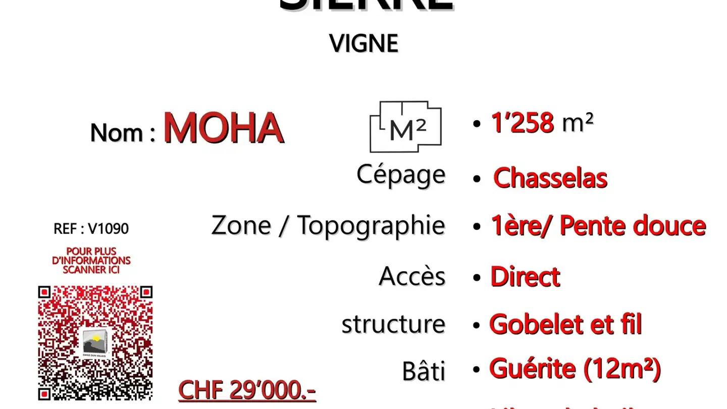 Farm for sale - 3960 Sierre - Photo 2