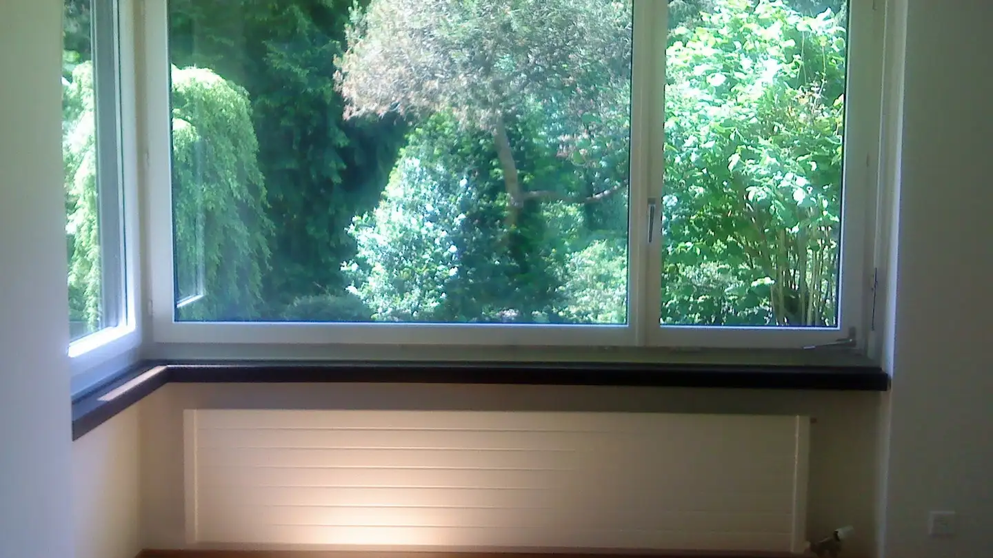 Appartamento in affitto - 8125 Zollikerberg