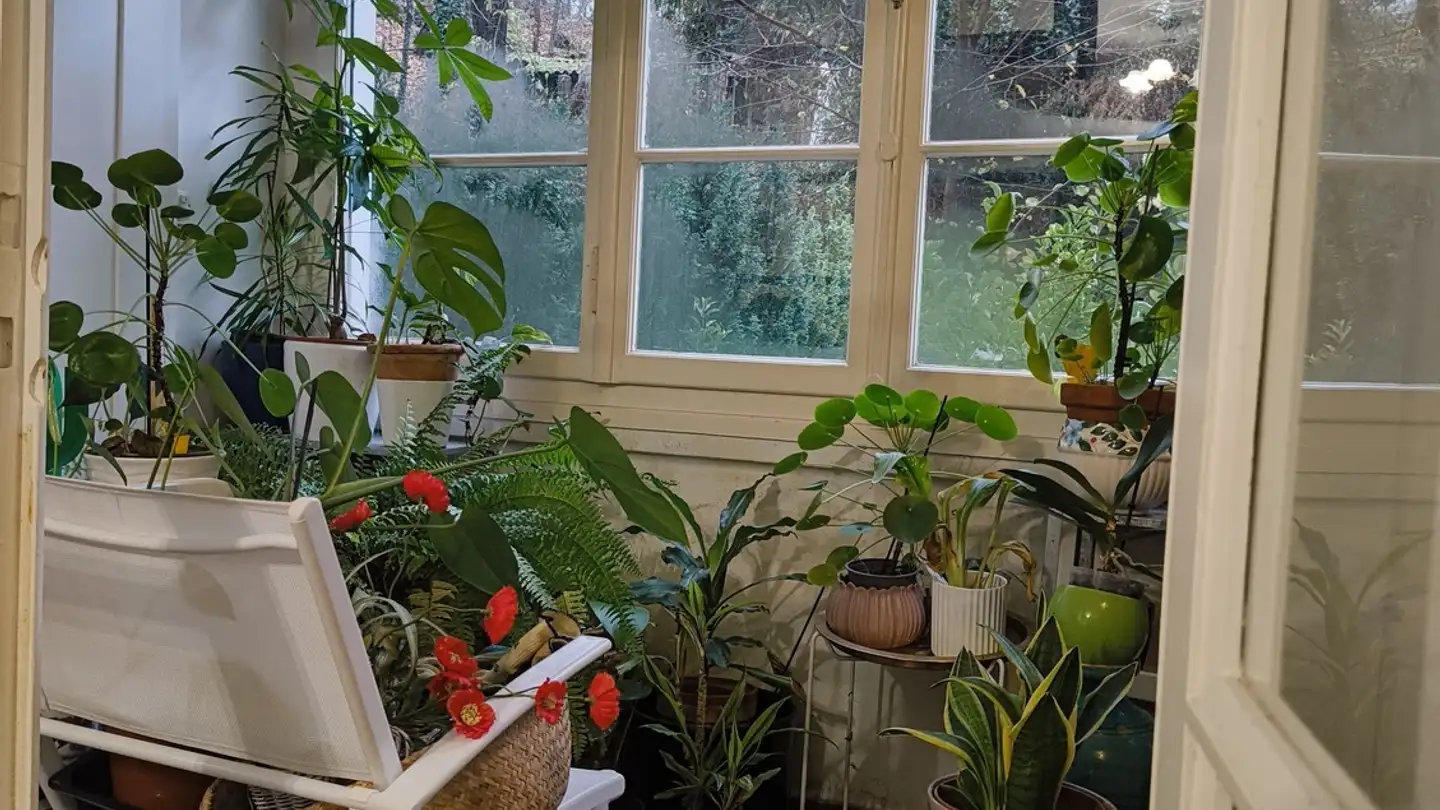 Wohnung mieten - Reinacherstrasse 130, 4053 Basel - Foto 4