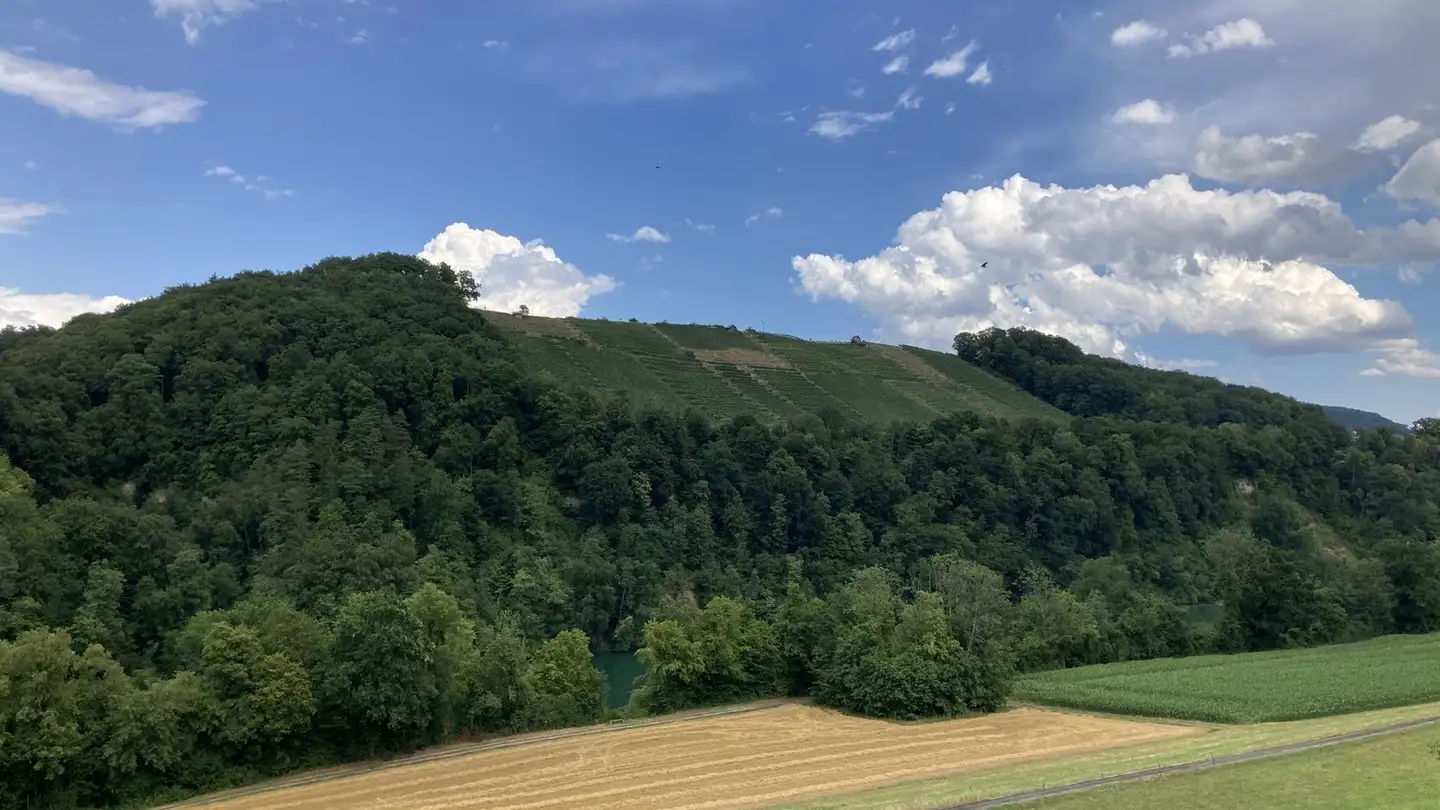 Appartamento in vendita - Tössriederenstrasse 81, 8193 Eglisau