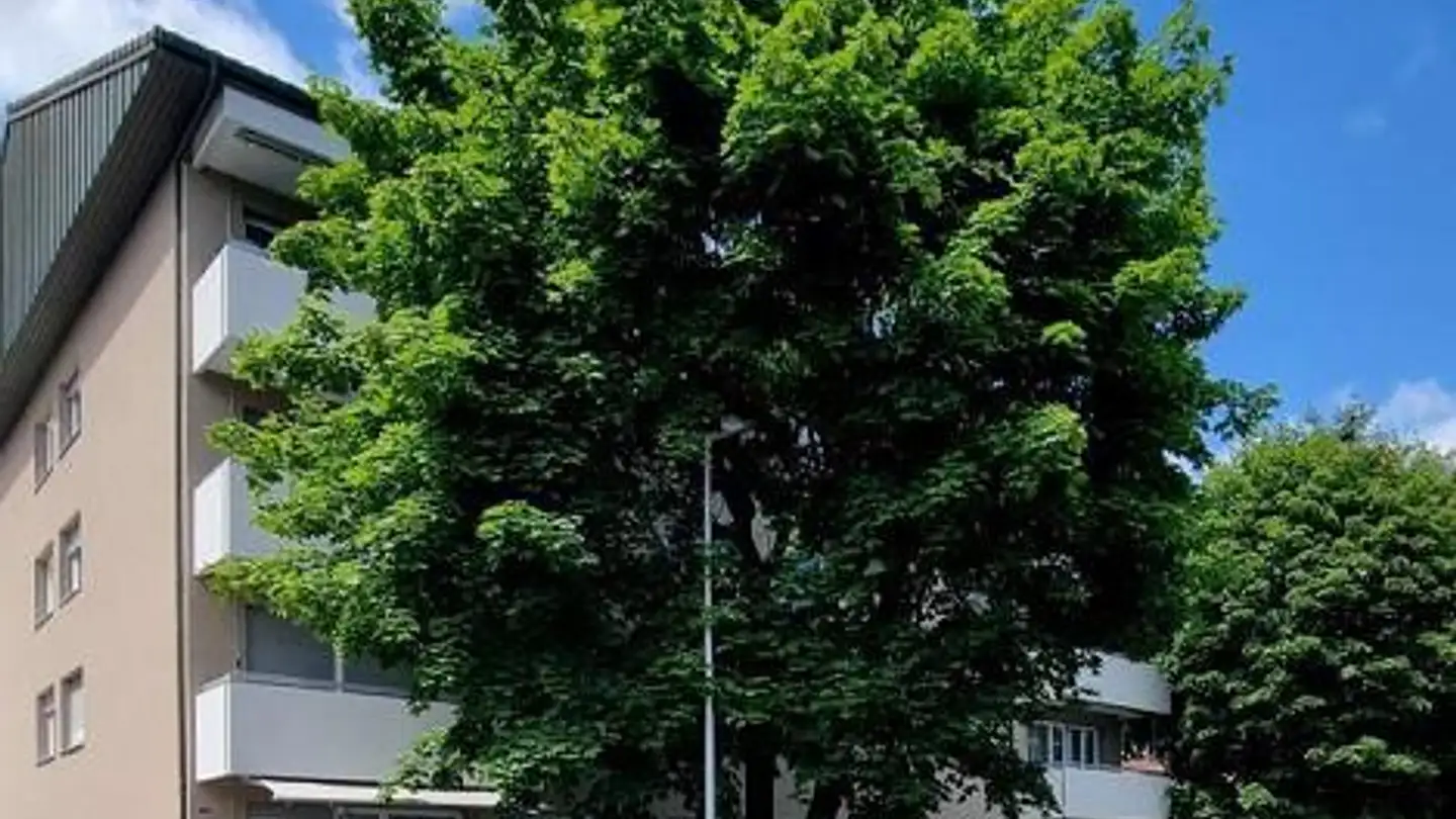 Appartement à louer - Mattenstrasse 1, 5507 Mellingen