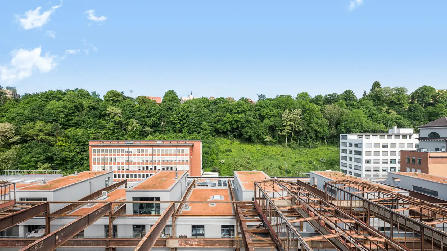 Appartement à louer - Zur Stahlgiesserei, 8200 Schaffhausen - Photo 2