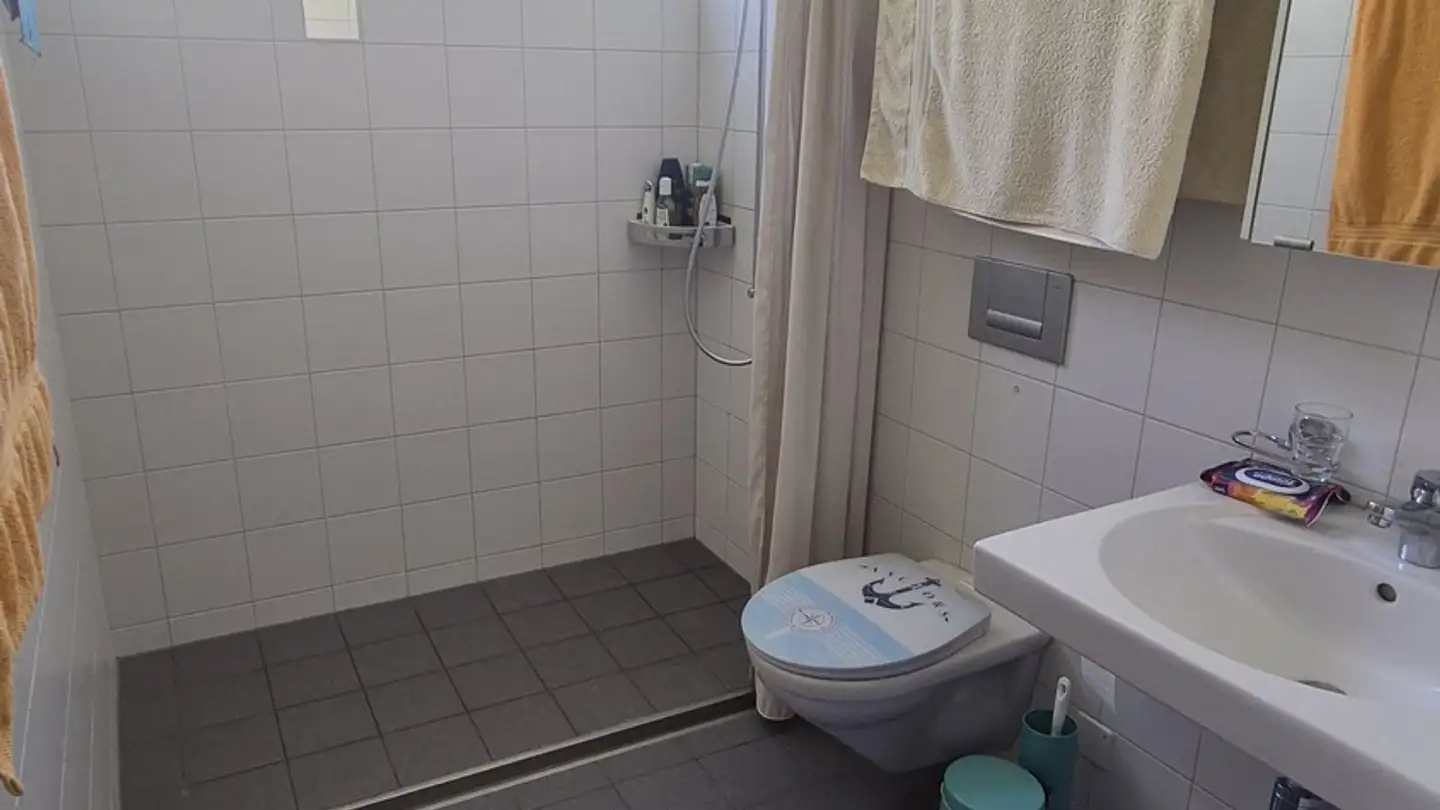 Single room for rent - Altwiesenstrasse 181, 8051 Zürich - Photo 4