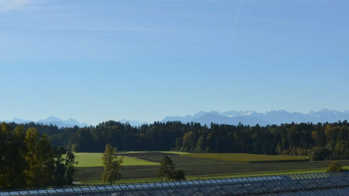 Apartment for rent - Birchhaustrasse 330, 8966 Oberwil-Lieli