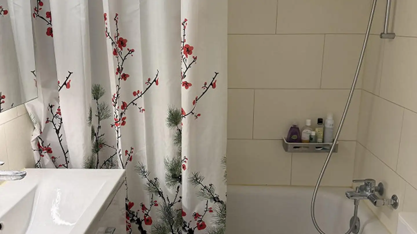 Appartement à louer - Zelgstrasse, 8134 Adliswil - Photo 2