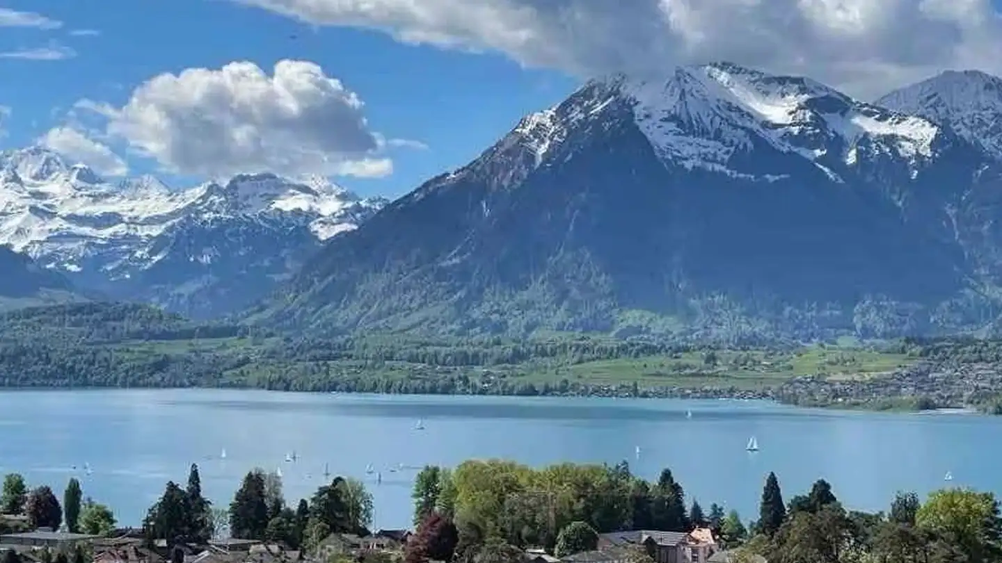 Appartement à louer - Wartbodenstrasse 23, 3626 Hünibach