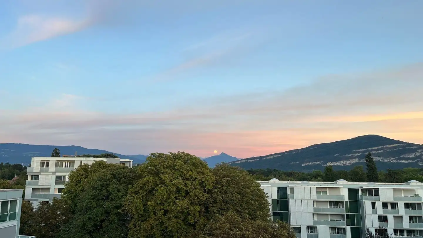 Attico in affitto - Rue De Chêne-Bougeries, 1224 Chêne-Bougeries