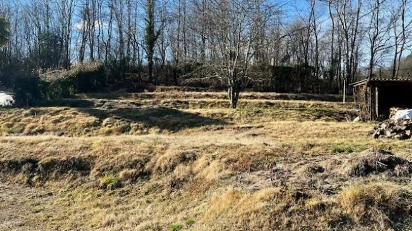 Appartamento in vendita - 6998 Monteggio - Photo 3