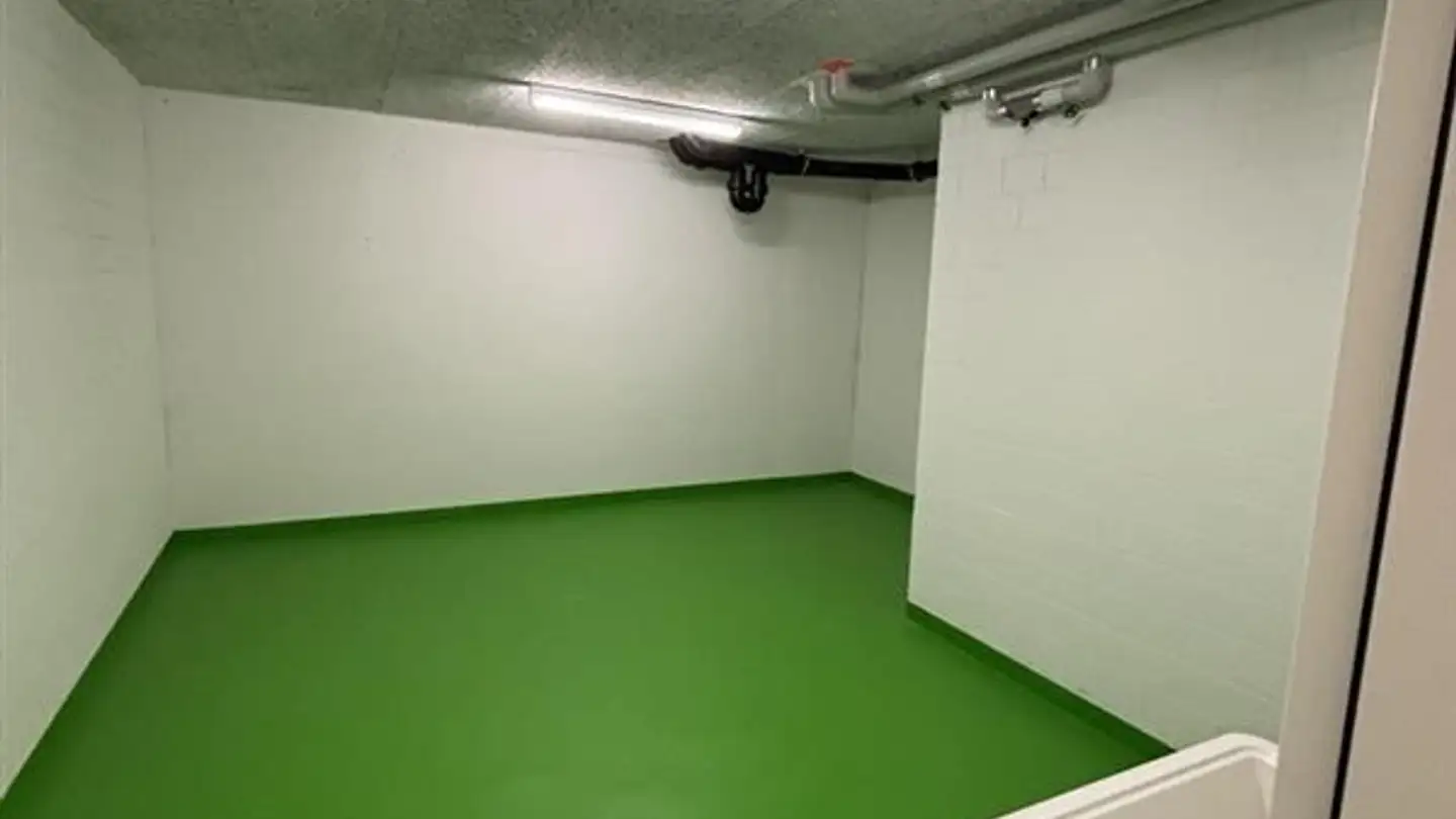 Storage space for rent - Loostrasse 9, 9435 Heerbrugg - Photo 2