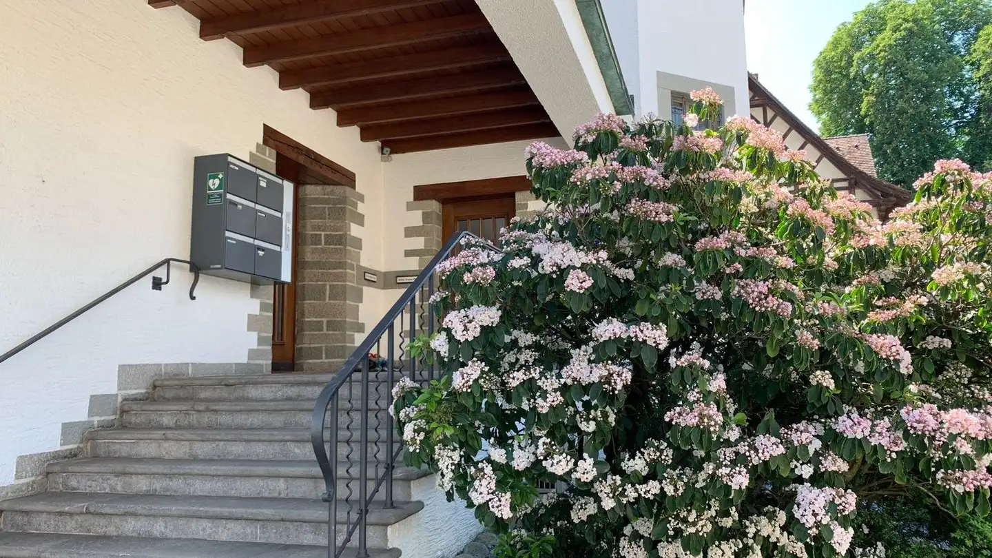 Stanza singola in affitto - 8820 Wädenswil - Foto 2