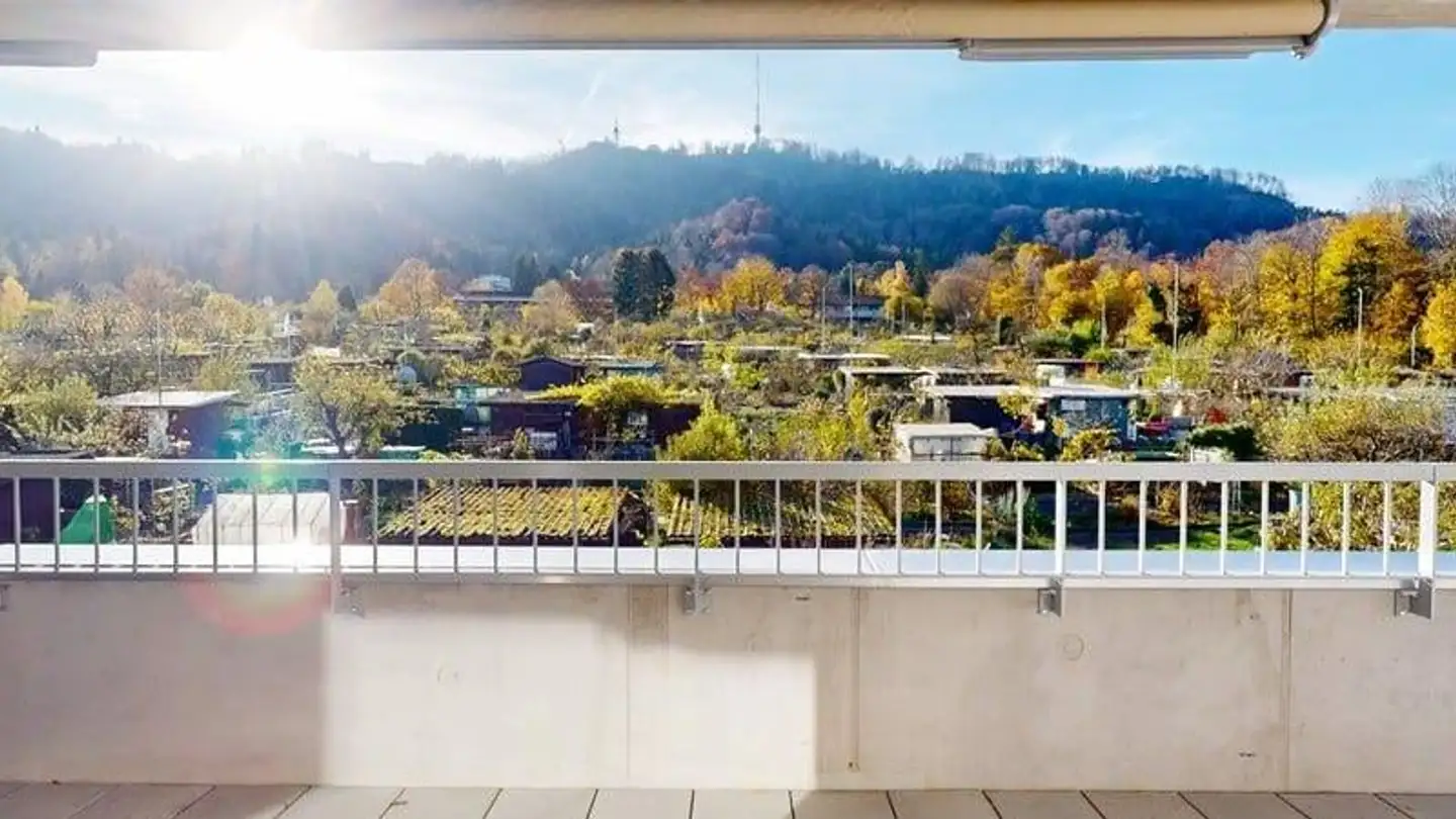 Appartamento in affitto - Hegianwandweg 102, 8045 Zürich - Photo 2