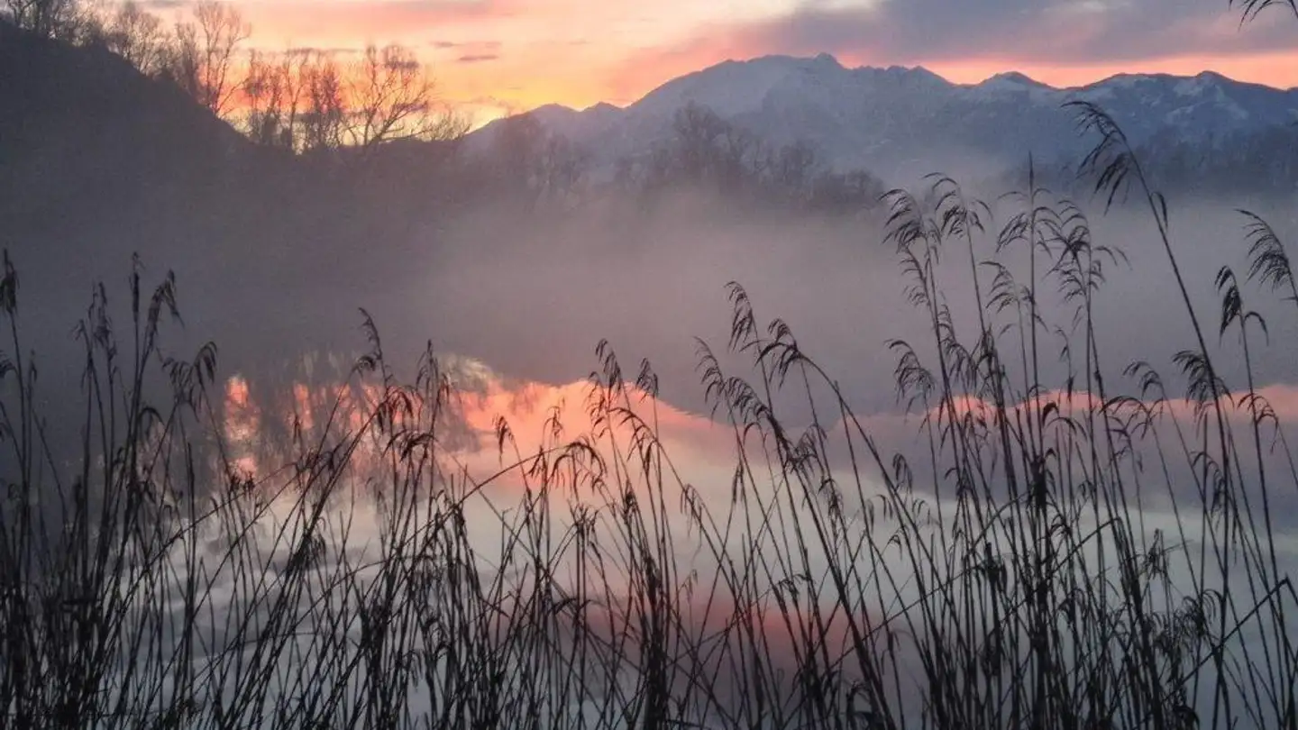 Appartement à vendre - Via Cantonale 75, 6573 Magadino - Photo 3