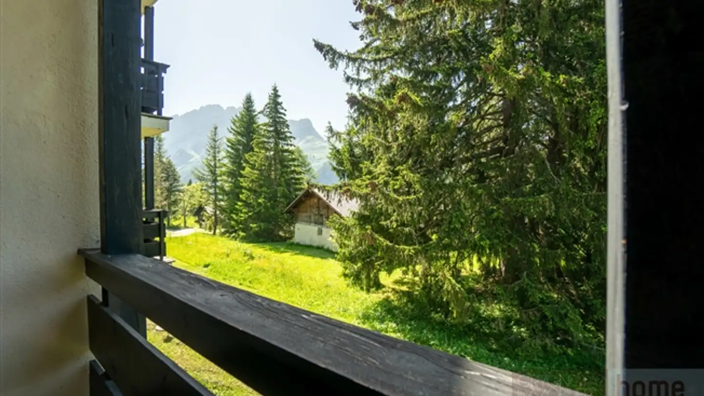 Wohnung kaufen - Chemin Des Outanes 5, 1882 Gryon