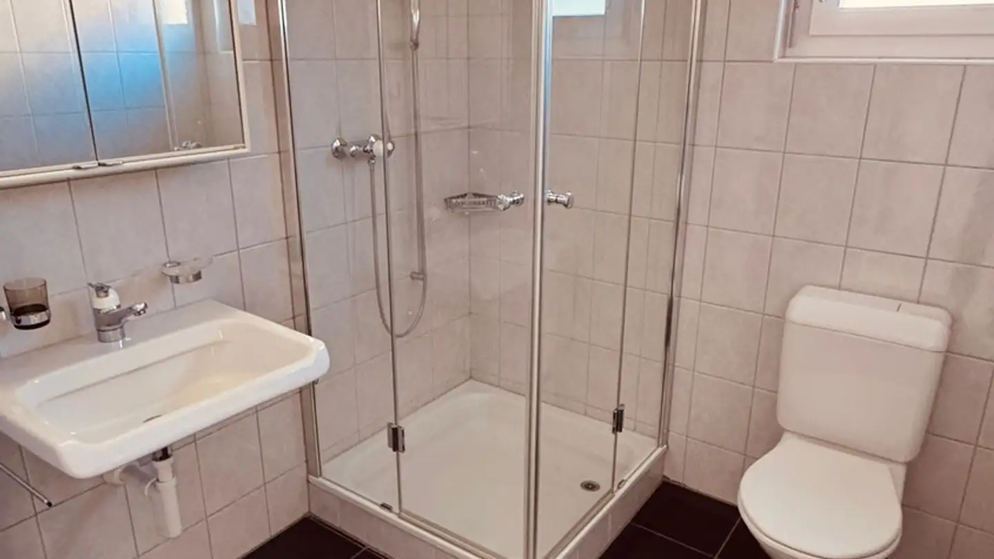 Appartamento in affitto - Soodstrasse 32, 8134 Adliswil - Foto 4